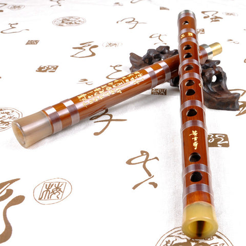 Buy Concert Grade Chinese Bitter Bamboo Flute Dizi Instrument with Accessories 2 Sections