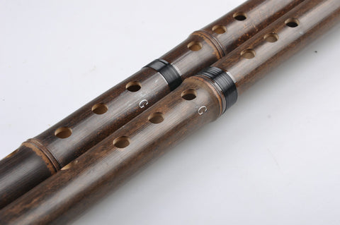 Study Level Purple Bamboo Flute Xiao Instrument Chinese Shakuhachi 2 Sections