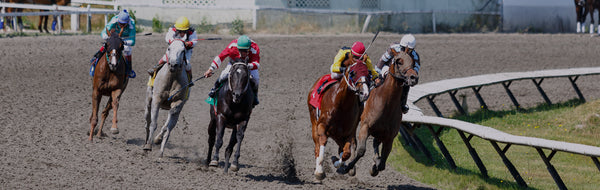 Courses de chevaux à la Deighton Cup (Search and Rescue Denim Co.)