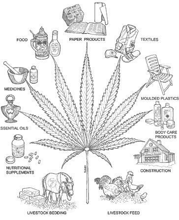 a hemp leaf surrounded by a variety of products it can produce