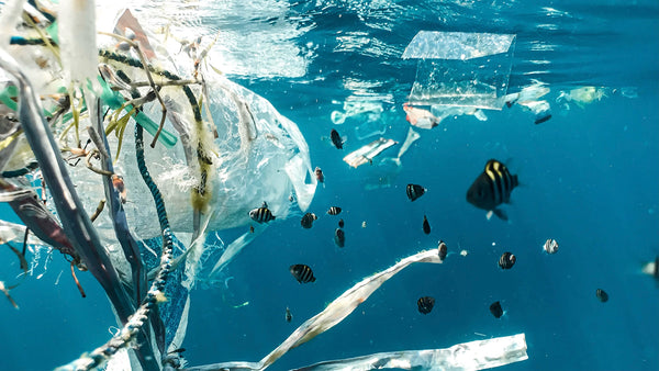 plastic pollution in ocean with fish swimming around it