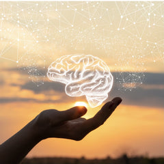 a silhouette of a hand holding a graphic of a brain with the sunset in the background