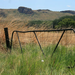 rusty fence in a field of tall grass