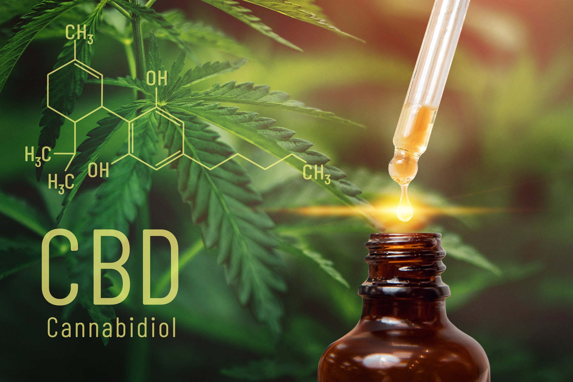 cbd oil 