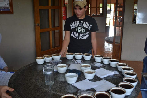 Cupping in Nicaragua