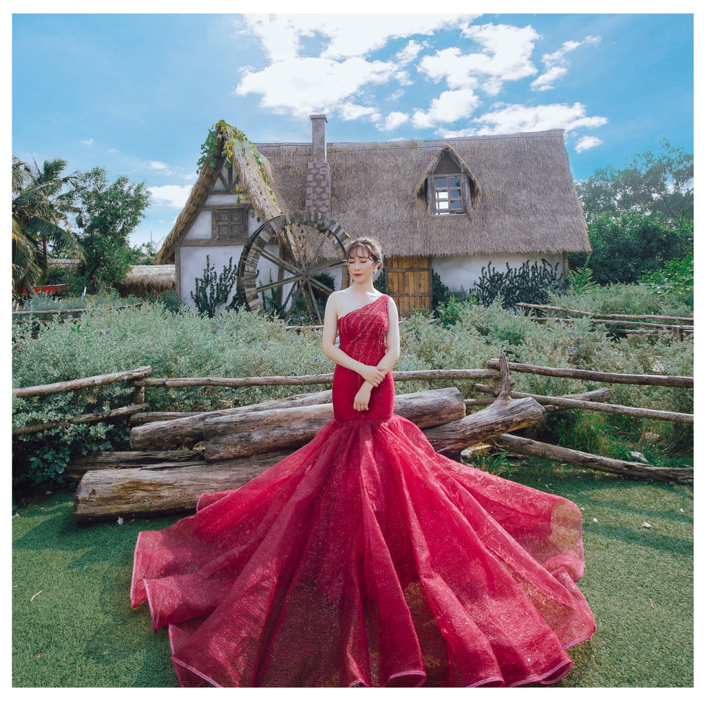 Red Wedding Dresses: 18 Lovely Options For Brides | Red wedding dresses, Red  ball gowns, Ball gowns