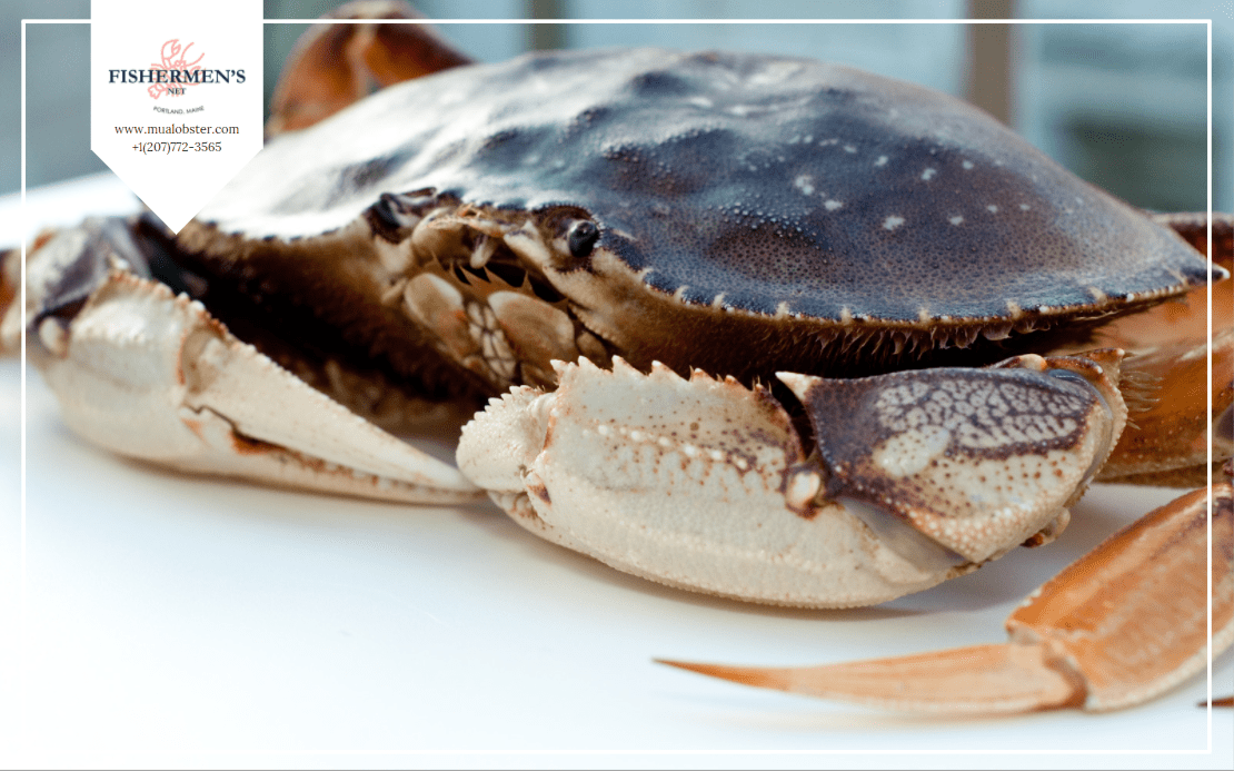 What Is Dungeness Crab? When Is Dungeness Crab Season?