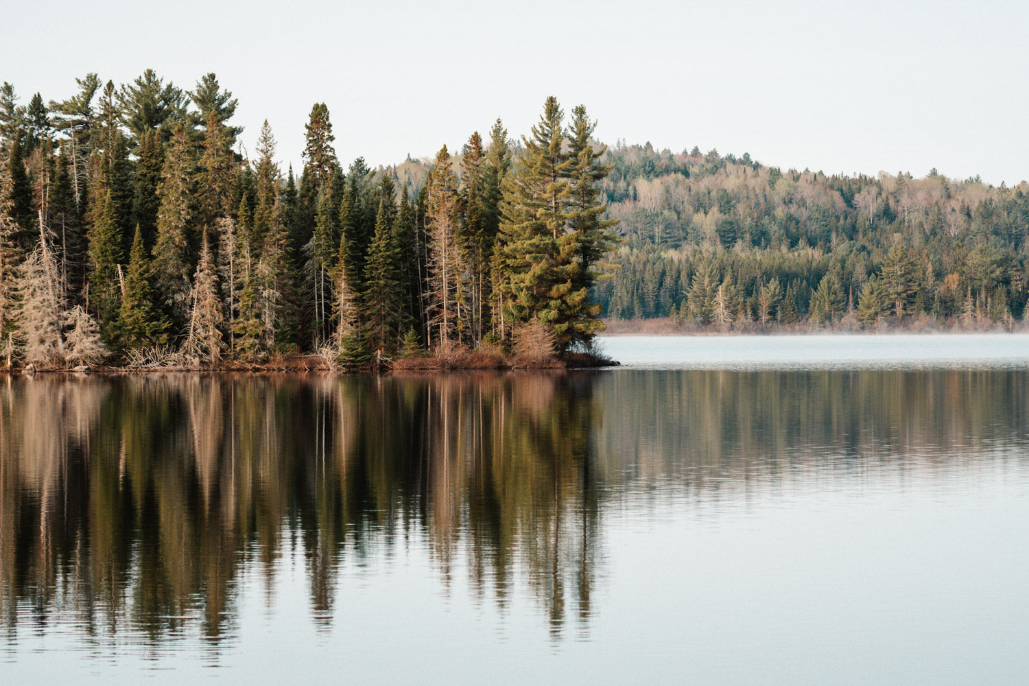 Canadian Algonquin Park View by Shadowshore Designs