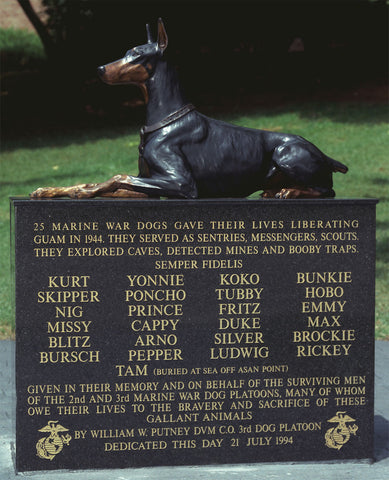 Always Faithful war dog memorial.