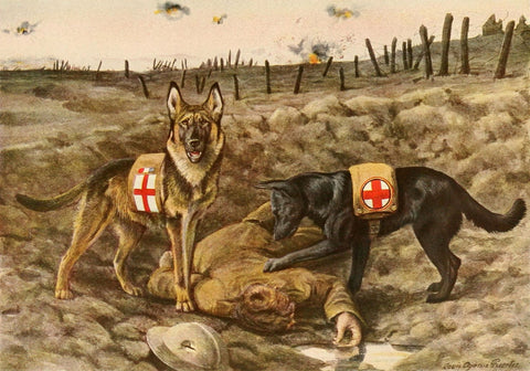 An art piece of two dogs with a fallen soldier.