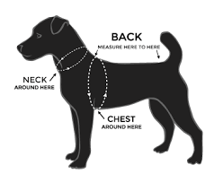 image of dog profile with notations on where to measure