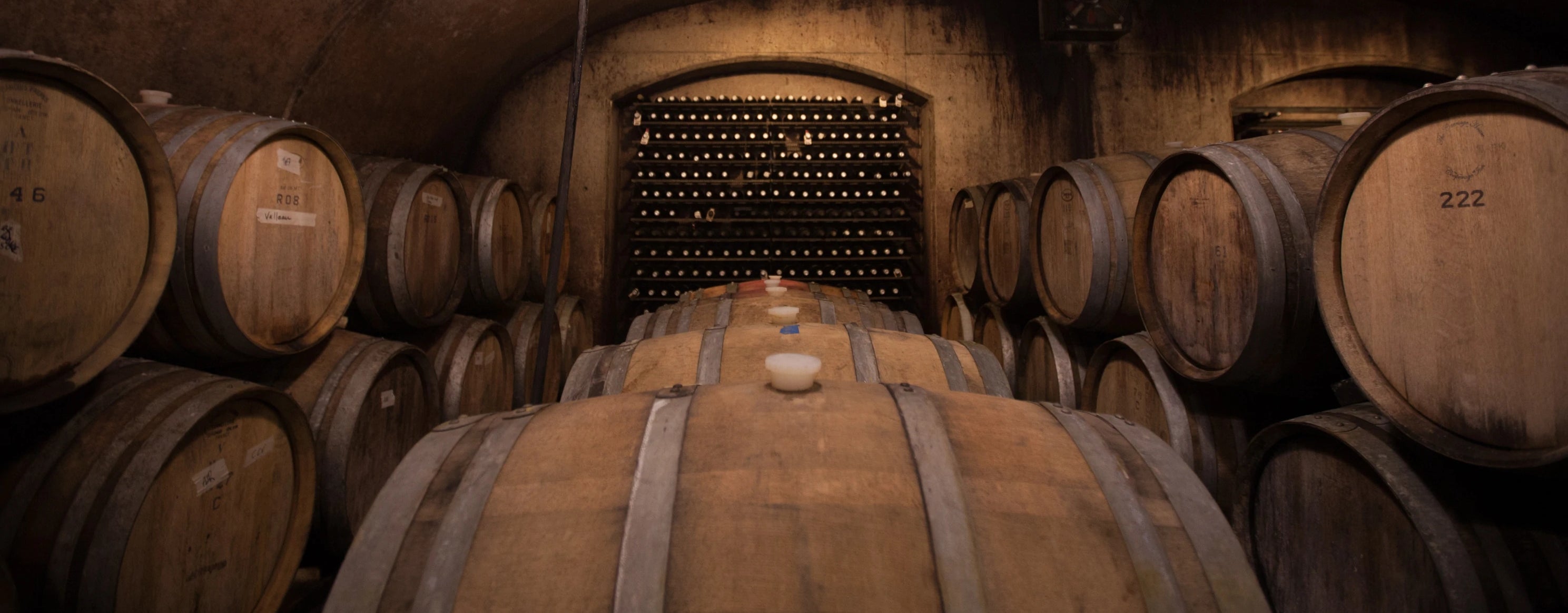 2021 Vineyard Pinot Noir – Closson Chase Vineyards