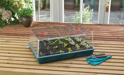 large seed propagator