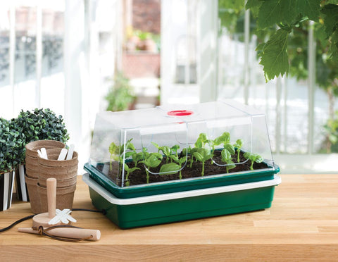 electric propagator