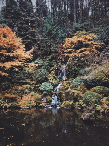 autumn garden pond