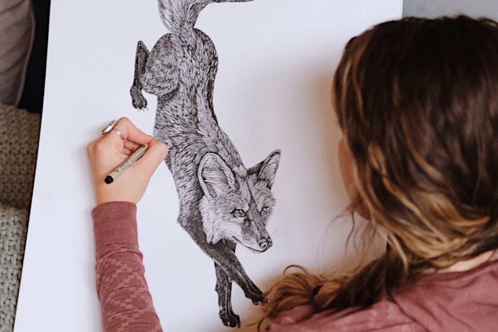 Brittany Finch Pen & Ink Illustrations