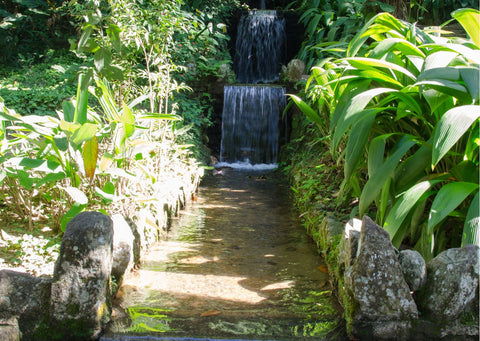 Water feature sensory garden