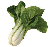 Chinese Thai White Pak Choi Bok Choy Brassica Rapa 