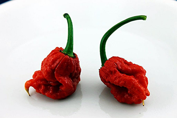 reaper pepper seeds