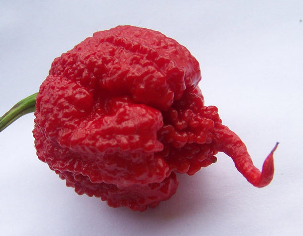 order carolina reaper pepper