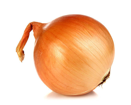 Texas Grano Onion - Bulk Vegetable Seeds - 50 grams | Seeds for Africa