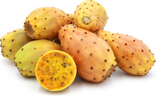 Prickly Pear - Opuntia ssp - Organic Heirloom Fruit - 5 seeds ...