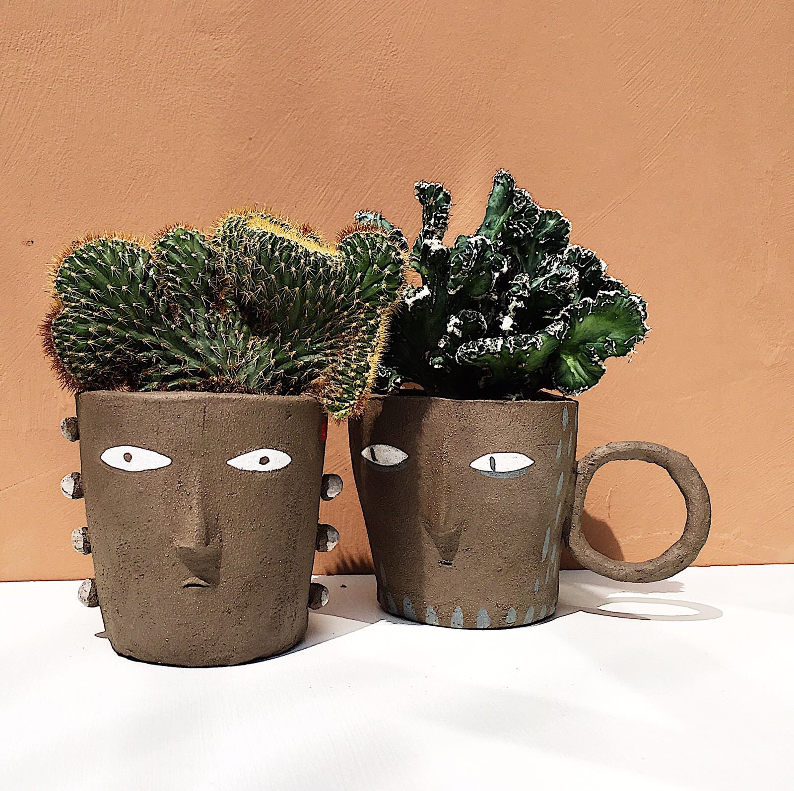 wohha ceramics x labofem plants