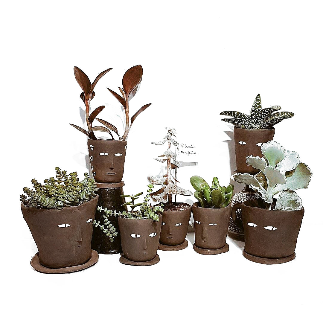 Wohha ceramics x Labofem plants