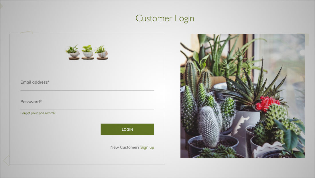 Shopify theme login page