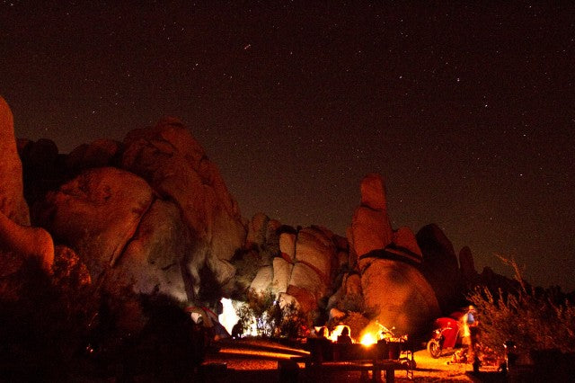 Desert Night Scene