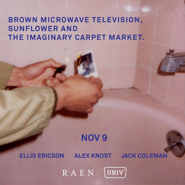 Brown Microwave Television, Sunflower, and the Imaginary Carpet Market