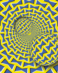 The Art of Optical Illusion