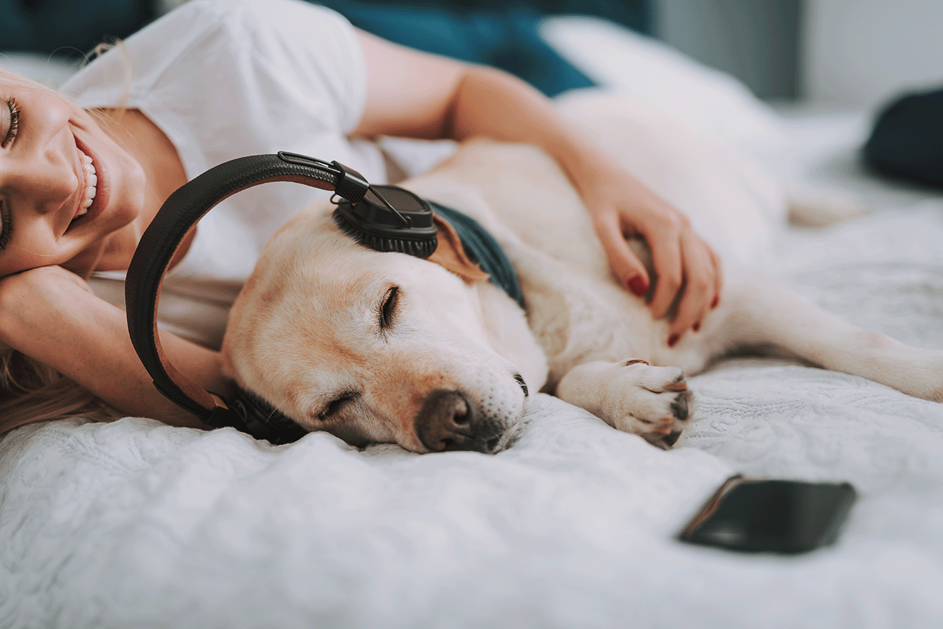 好きな音楽を聴いている犬