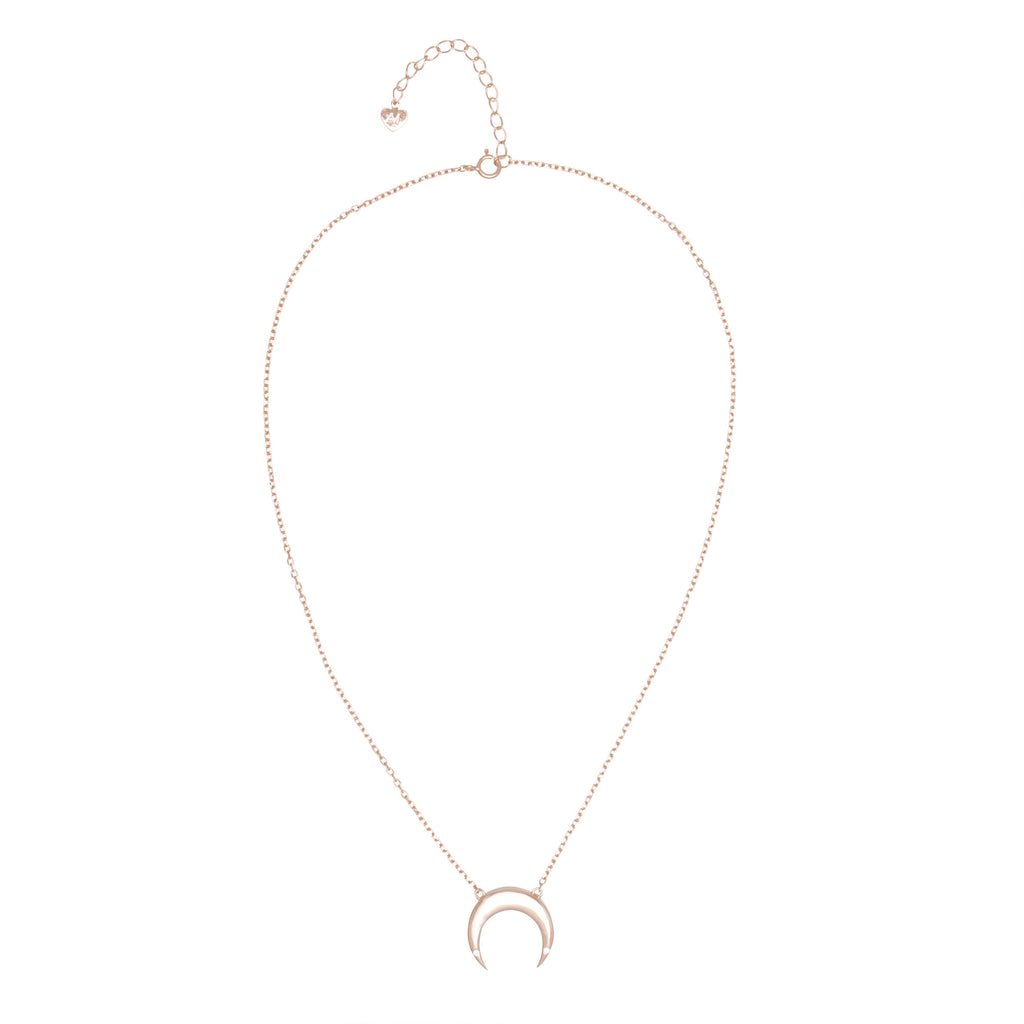 Horn Necklace – Alex Mika Jewelry