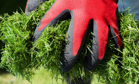 hands wearing red gloves holding fresh grass clippings