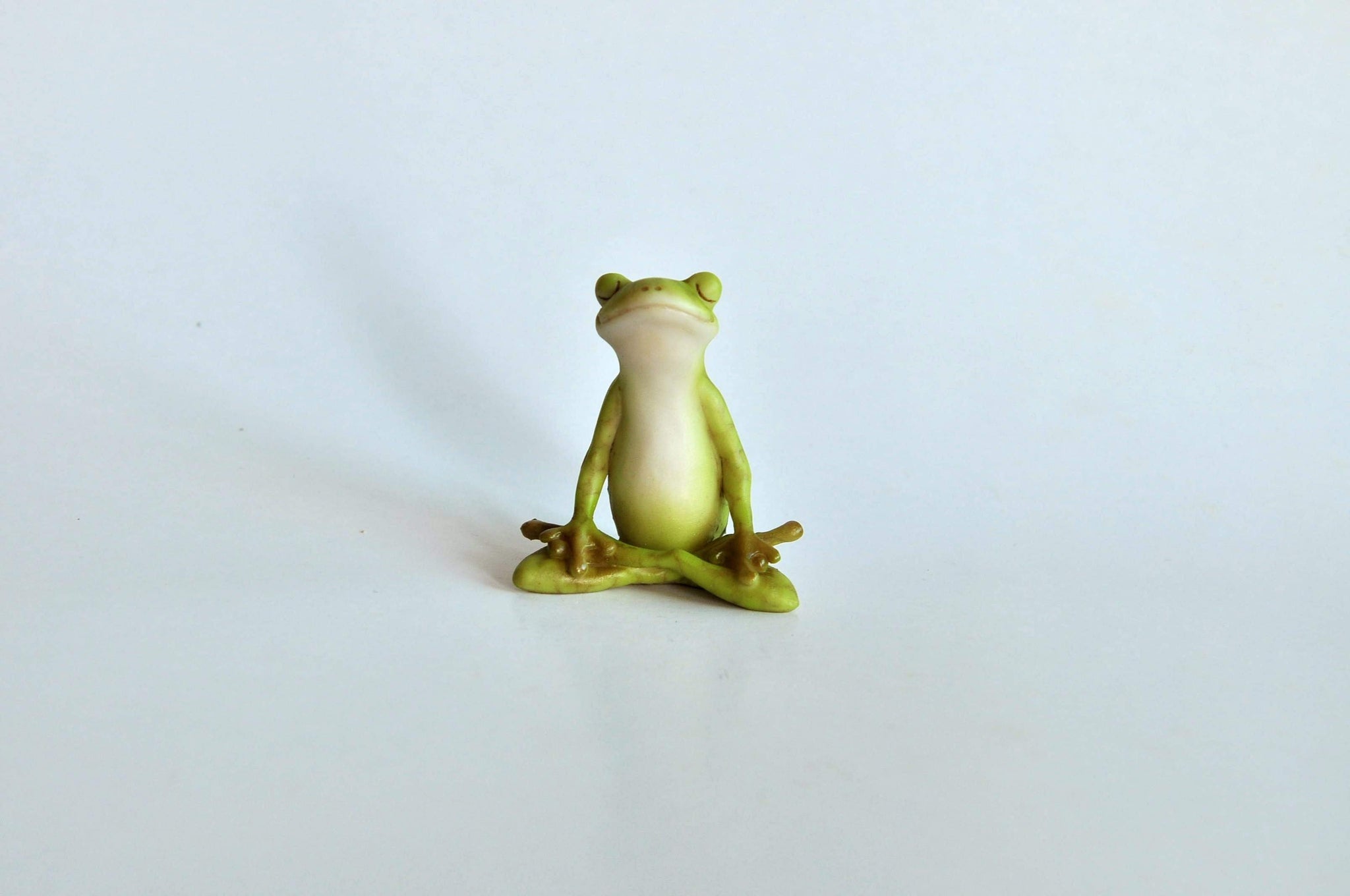 Yoga Frog Meditation Lotus Pose