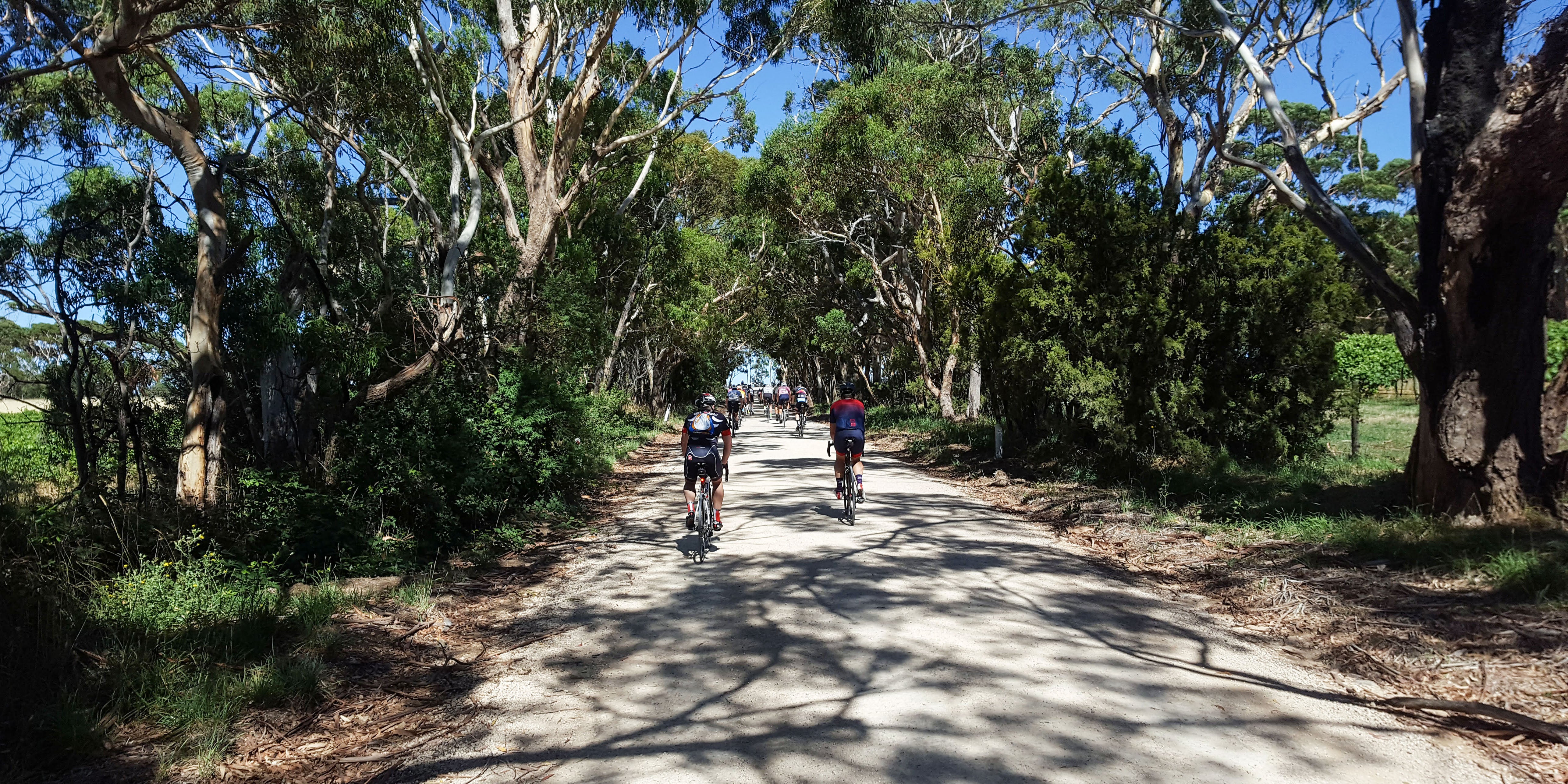 Rides for the Tour Down Under