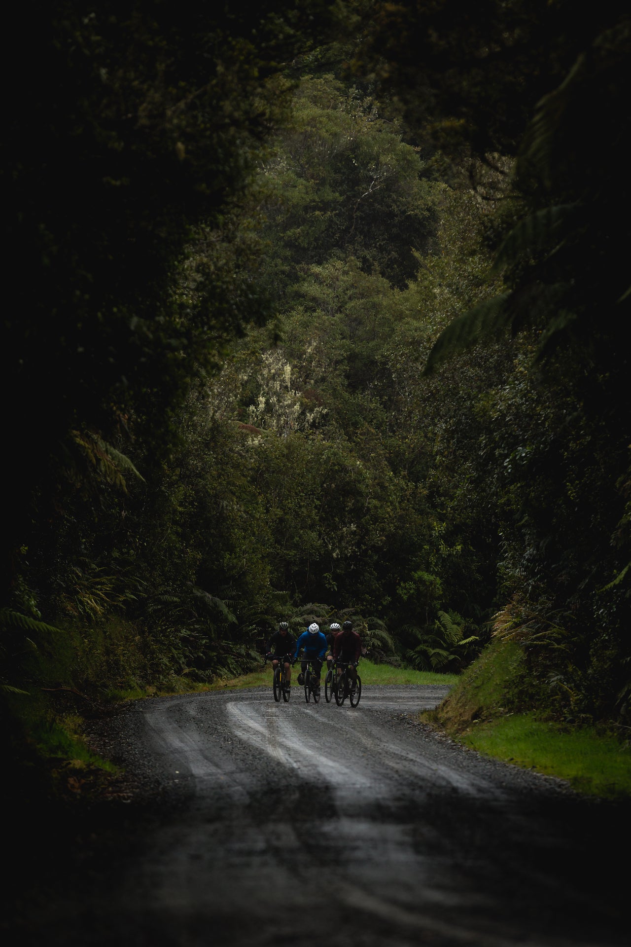 Flashpacking Curve Cycling New Zealand