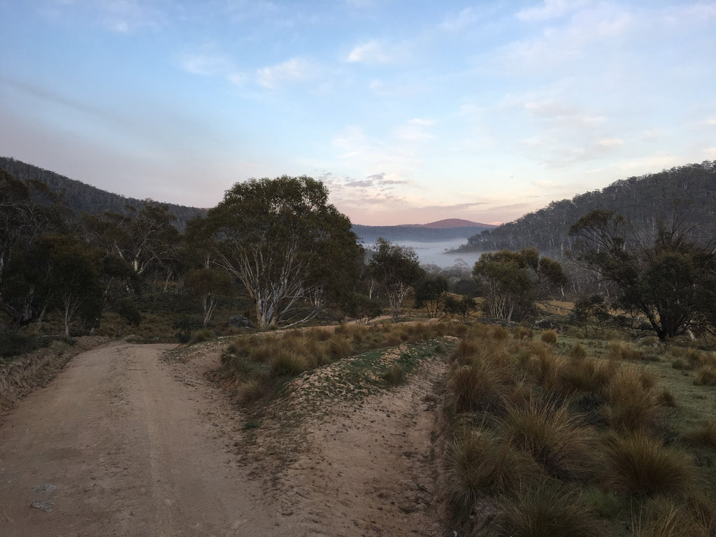 The road out of Canberra