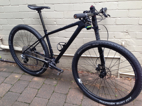 Open AAX with Curve 29er Carbon Wheels