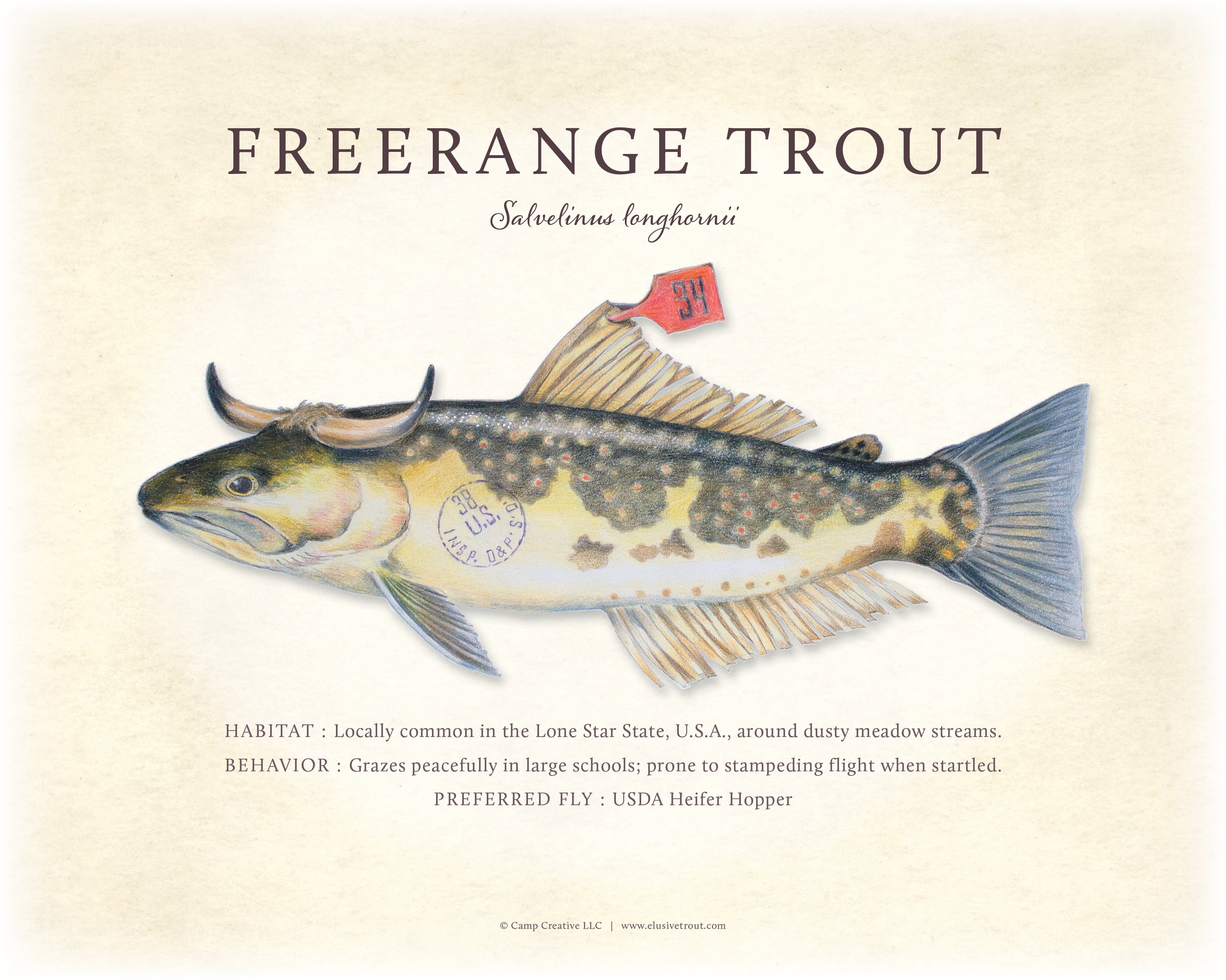 Freerange Trout Giclee Print