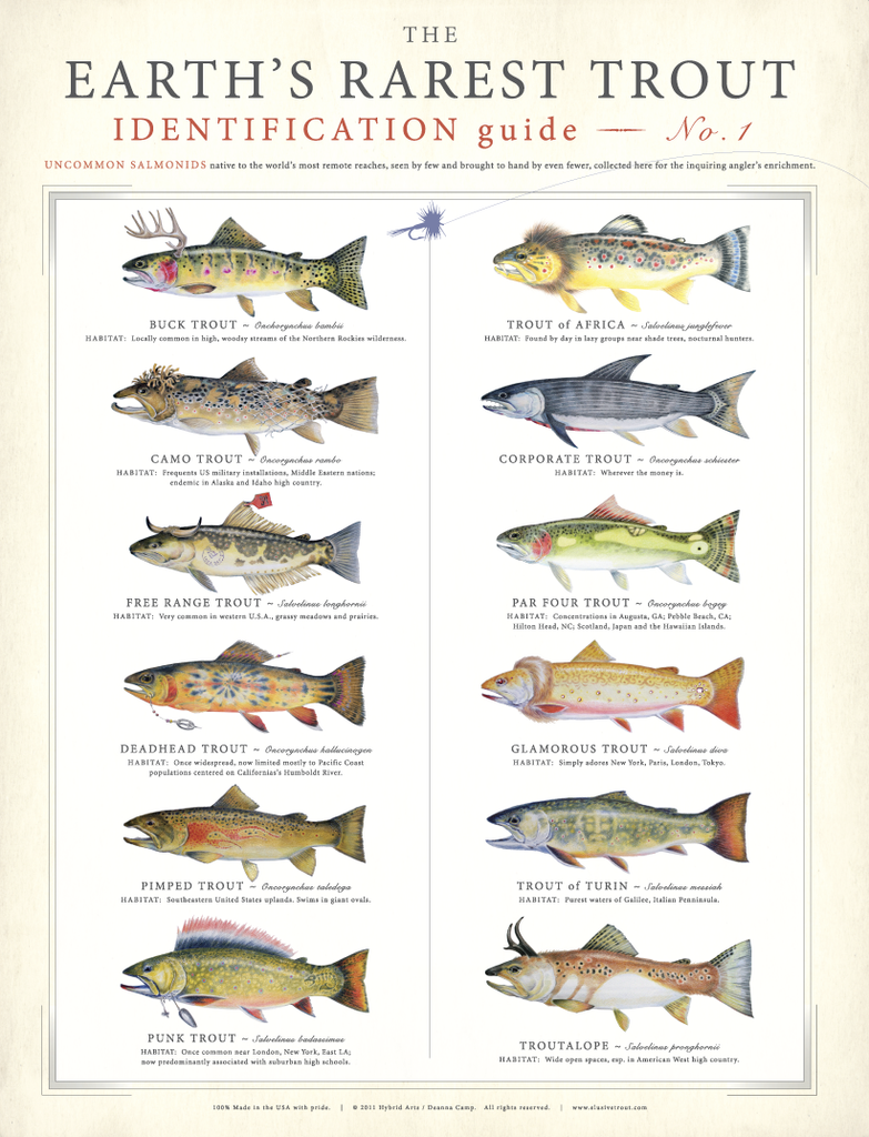 Earth's Rarest Trout Poster – The World's Most Elusive Trout