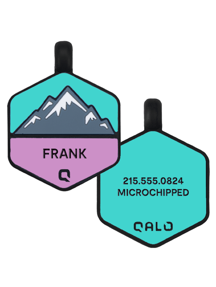 qalo dog tags