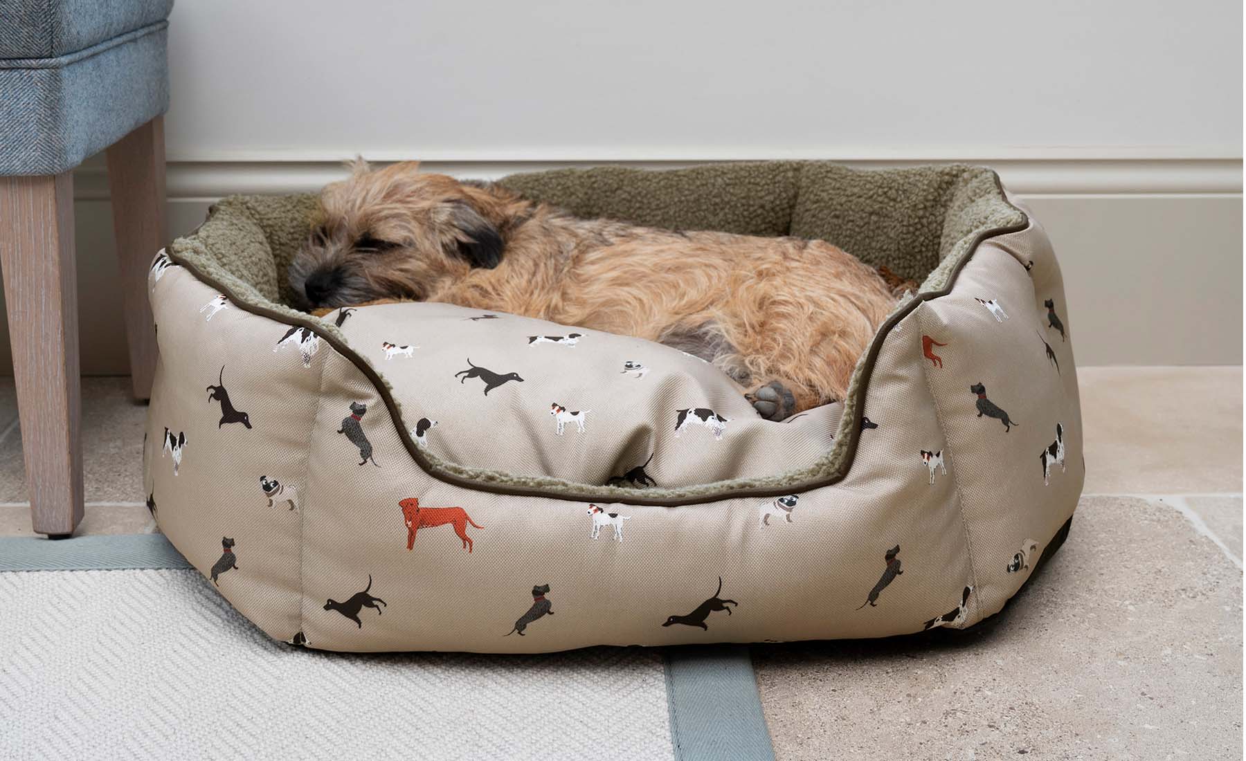 Woof | Sophie Allport