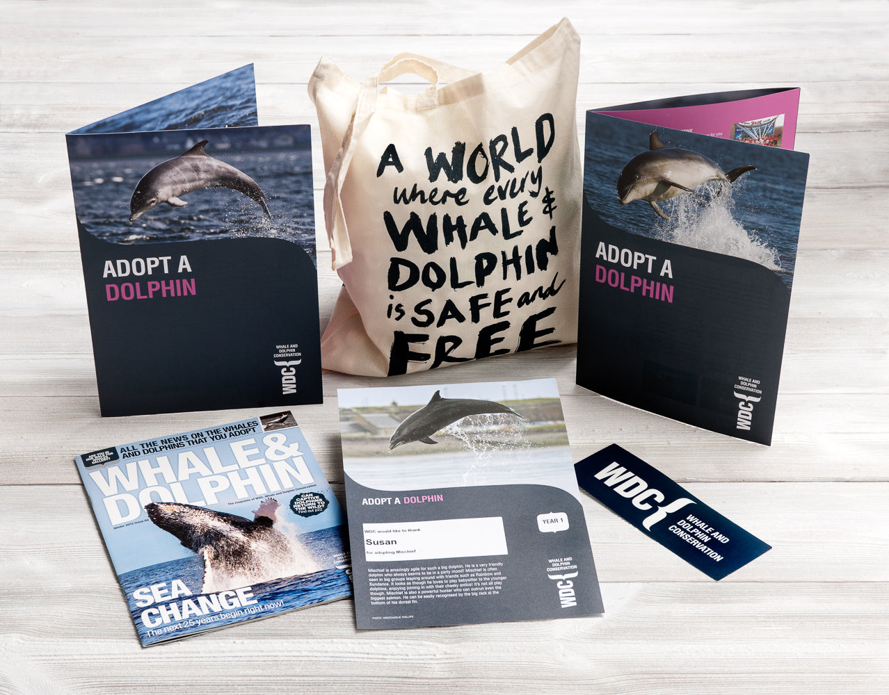 Whale & Dolphin Conservation Q&A with CEO Chris Butler-Stroud
