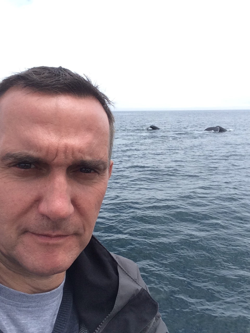 Q&A with Chris Butler-Stroud Whale & Dolphin Conservation