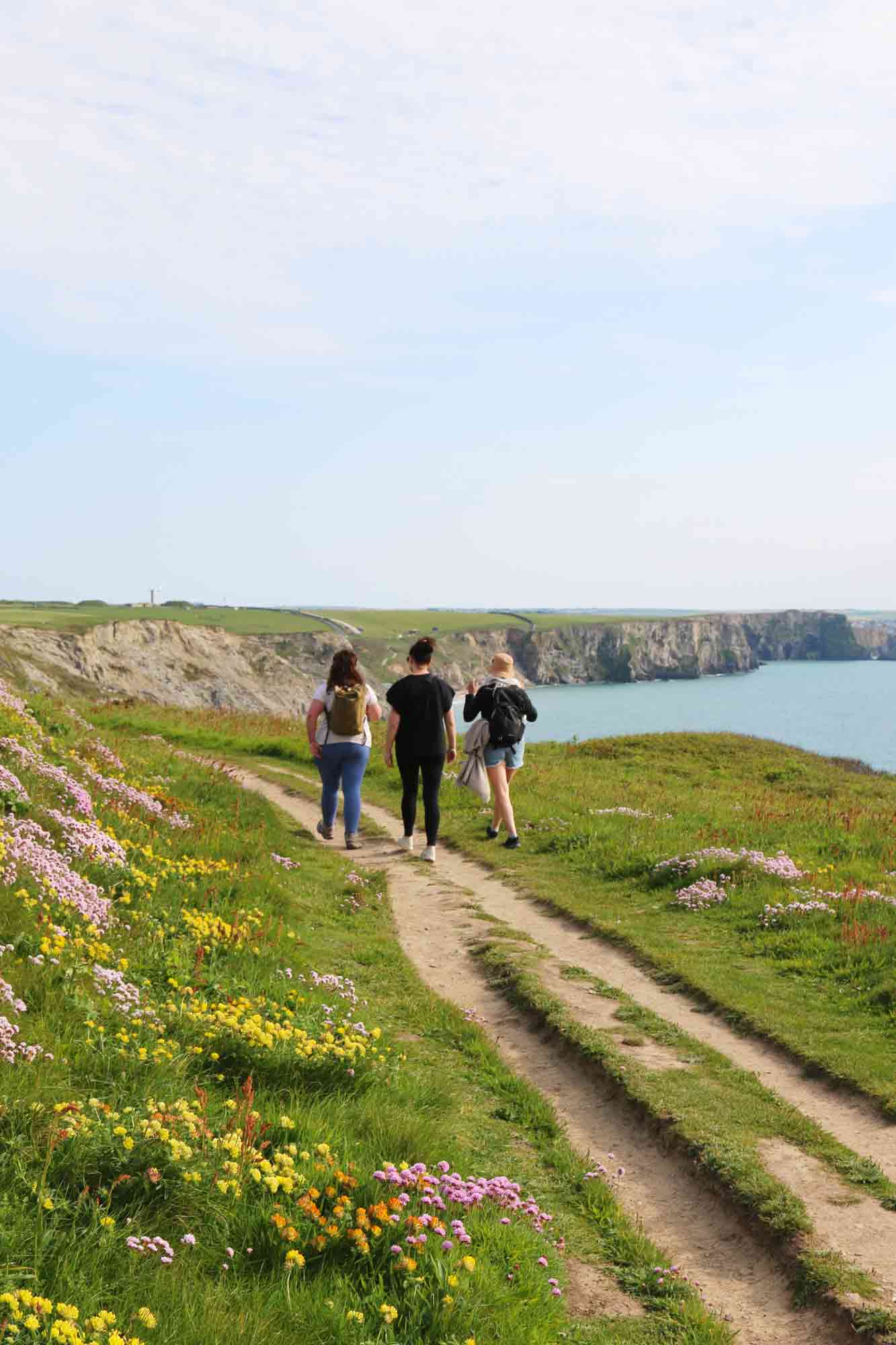 The Best Walks In Cornwall