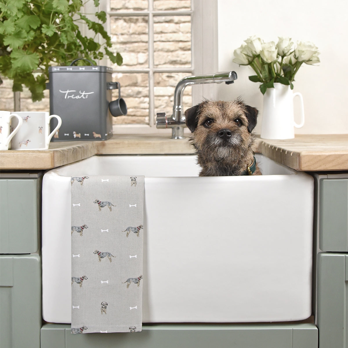 Cute terrier with pretty tea towel and mug