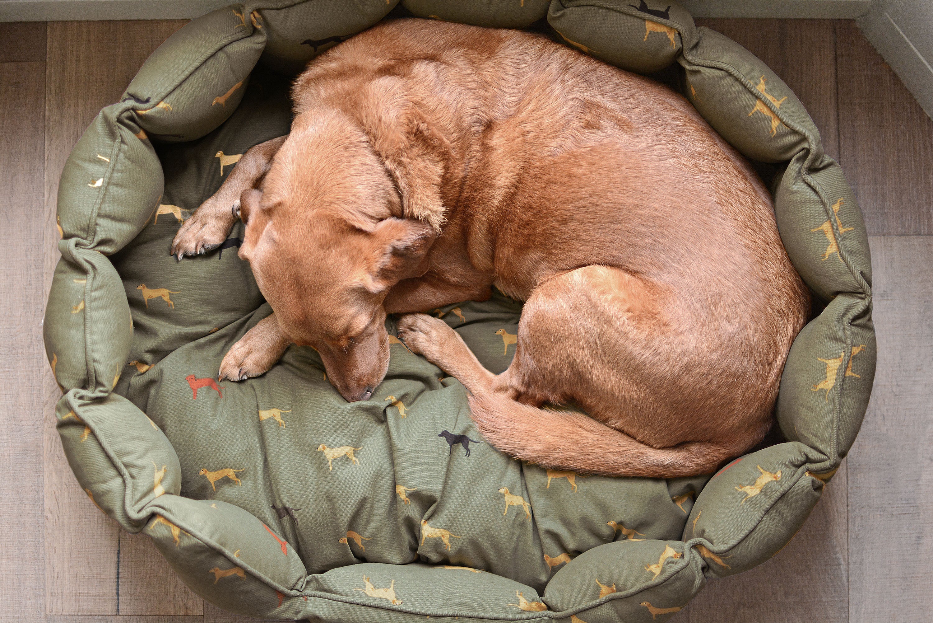 Fab Labs Pet Bed