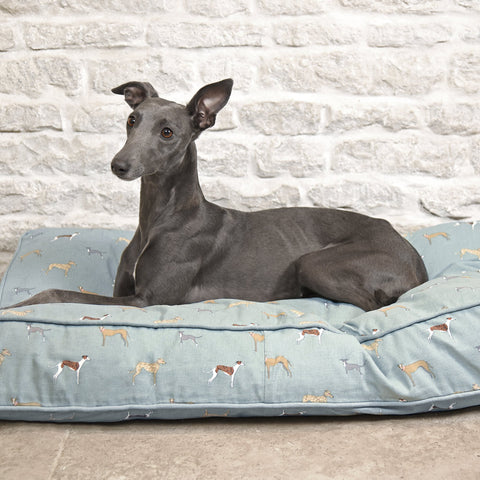 Lurcher, Whippet & Grey Hound dogs by Sophie Allport